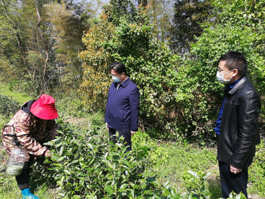 圖片 1.png 圖片 1.png