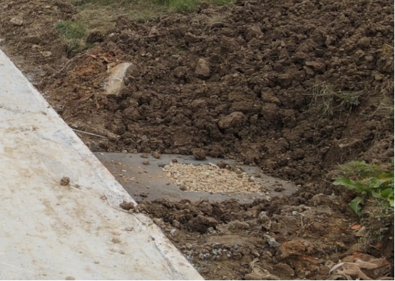 圖片 3.png 圖片 3.png